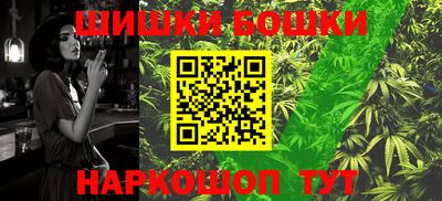СК Боровичи
