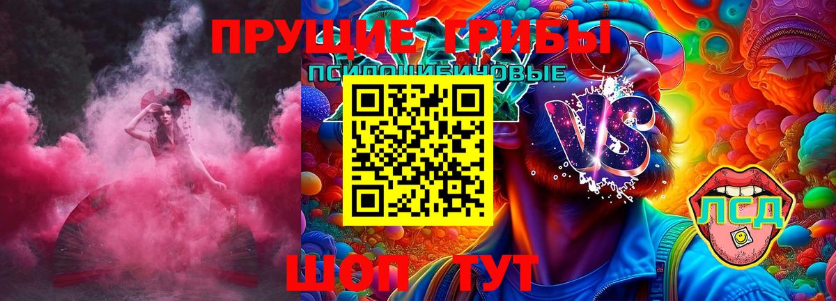 Псилоцибиновые грибы мицелий Сунжа